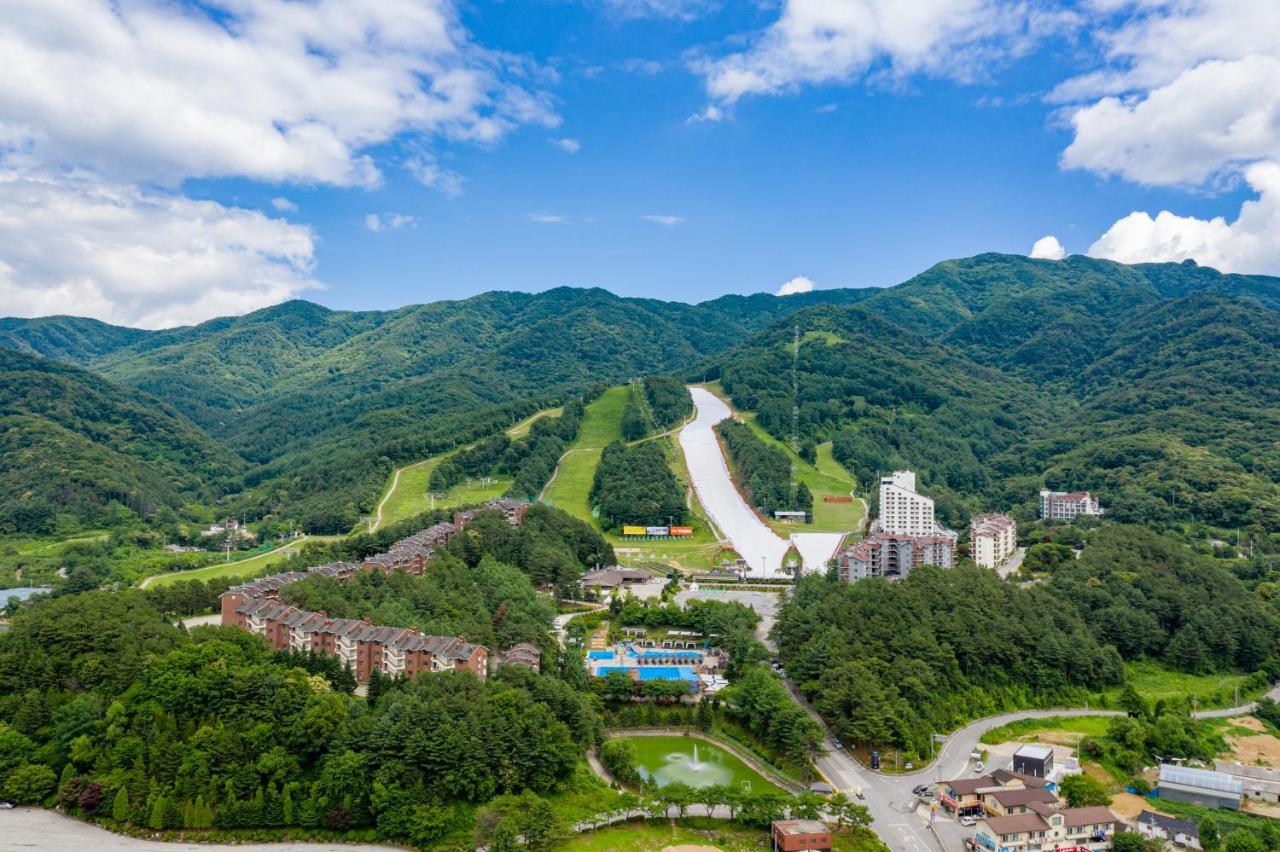 Bears Town Hotell Pocheon Eksteriør bilde